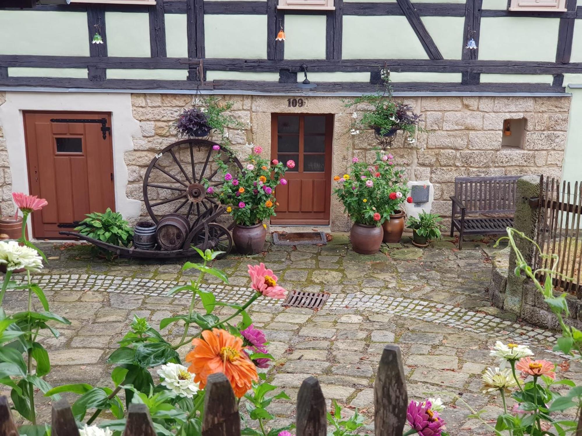 Gohrischer Hof Anno 1798 エクステリア 写真